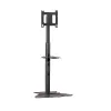 Chief PF1UB monitora stiprinājums / statīvs 190,5 cm (75 collas) grīdas melns