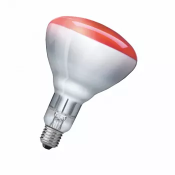 Infrasarkanā spuldze Philips 923212043801 250 W 5000 h 230–250 V