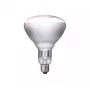Infrasarkanā spuldze Philips 57522725 150 W 5000 h 230-250 V