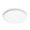 Philips Functional Izso griestu gaismeklis 40 W, LED, 4300 lm, IP20, balts