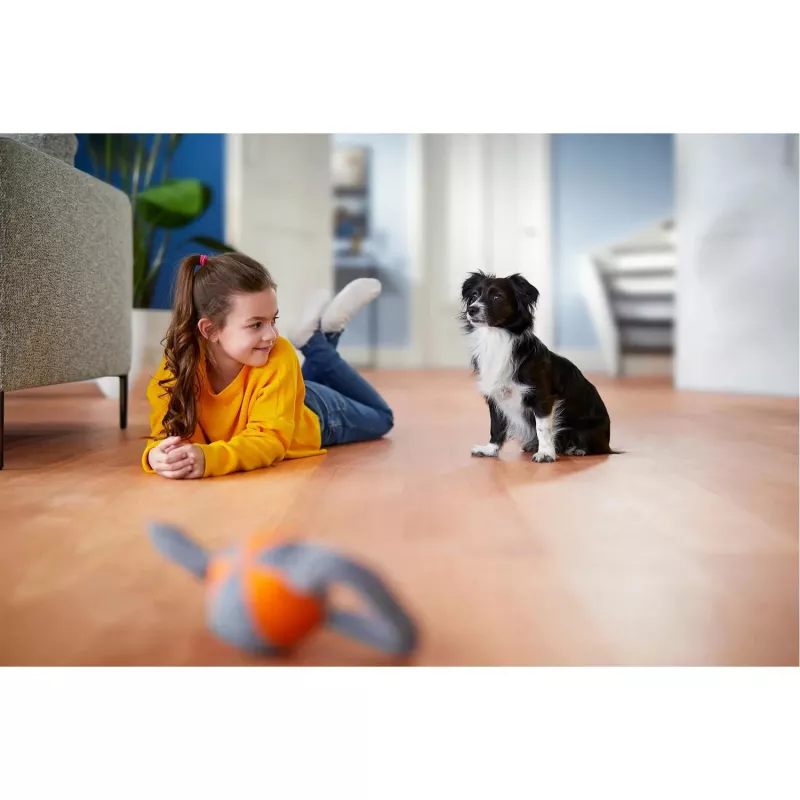Philips PowerPro Expert FC9747/09 putekļsūcējs 2 L cilindriskais putekļsūcējs Sausā tīrīšana 900 W Bez putekļu maisa