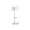 TECHLY grīdas statīvs ar ratiņu plauktu LCD/LED/Plasma TV 37collas-86collas balts