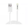 SANDBERG 440-94 SANDBERG kabelis USB>Lightning 2m Apple apstiprināts