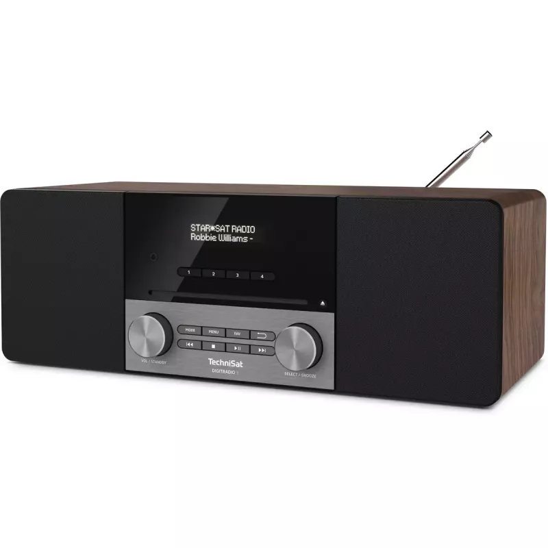 Pārnēsājamais radio TechniSat DigitalRadio 3 Analog & Digital DAB+ FM