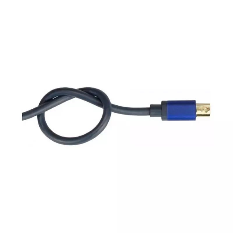 Video kabeļa adapteris Alcasa MDP-HDMI2 0.2 m Mini DisplayPort HDMI Zils Melns