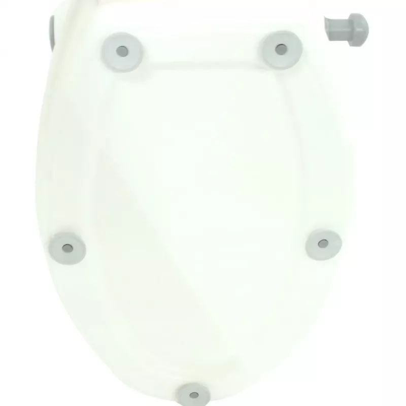 Bērnu podiņsēdeklītis Jamara 460957 Daudzkrāsains Platums 260 mm Dziļums 400 mm Augstums 275 mm