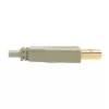 USB 2.0 A–B kabelis Tripp Lite U022-006-BE 6 pēdas bēšs