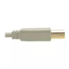 USB 2.0 A–B kabelis Tripp Lite U022-006-BE 6 pēdas bēšs