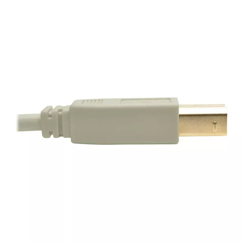 USB 2.0 A–B kabelis Tripp Lite U022-006-BE 6 pēdas bēšs