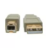 USB 2.0 A–B kabelis Tripp Lite U022-006-BE 6 pēdas bēšs