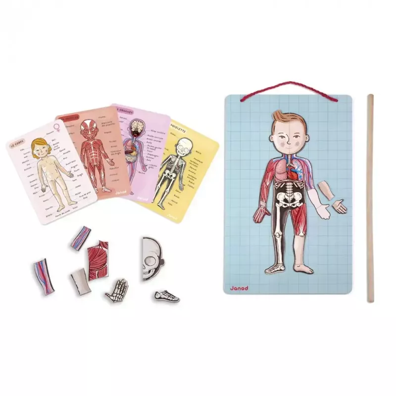 Learning toy Janod J05491 Multicolour 7 to 12 years