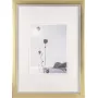 Foto rāmis Walther Beyond DIN A3 29,7×42 cm sveķi šampanieša zelts