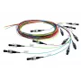 Telegärtner InfiniBand/optiskās šķiedras kabelis 2 m 12x LC Daudzkrāsains