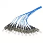 Optiskās šķiedras kabelis EFB Elektronik O3313.2 12x ST OM1