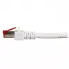 Tīkla kabelis EFB Elektronik K5518.25 RJ-45 Cat6 25 m balts