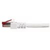 Tīkla kabelis EFB Elektronik K5518.50 RJ-45 Cat6 50 m Balts