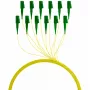 EFB Elektronik FTTH-PIGTAIL-LCA1 2m LC/APC 6x LC OS2 optiskās šķiedras kabelis