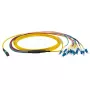 Optiskās šķiedras kabelis EFB Elektronik MTPF12LCOS2-2