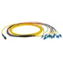 Fibre optic kabelis EFB Elektronik MTPF12LCOS2-3