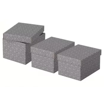 Uzglabāšanas kaste Esselte 628281 Pelēka Taisnstūrveida 200x255x150 mm
