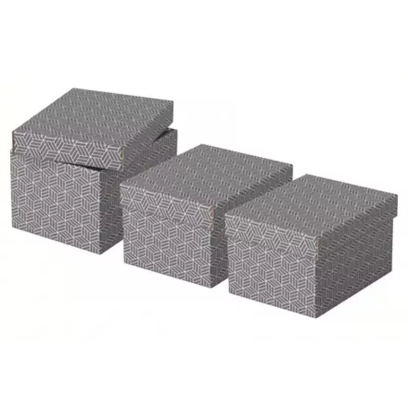 Uzglabāšanas kaste Esselte 628281 Pelēka Taisnstūrveida 200x255x150 mm