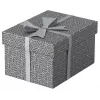 Uzglabāšanas kaste Esselte 628281 Pelēka Taisnstūrveida 200x255x150 mm