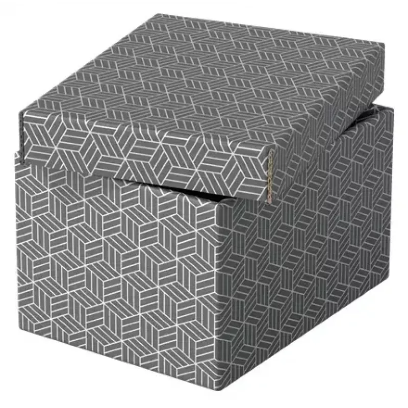 Uzglabāšanas kaste Esselte 628281 Pelēka Taisnstūrveida 200x255x150 mm