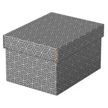 Uzglabāšanas kaste Esselte 628281 Pelēka Taisnstūrveida 200x255x150 mm