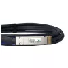 DAC kabelis BlueOptics PAN-QSFPDD-DAC-2M-BL QSFP-DD InfiniBand 2m Melns