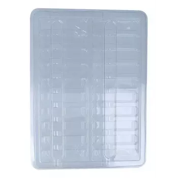 Pārsegs BlueOptics BOTRSFP20 Transparent 80g