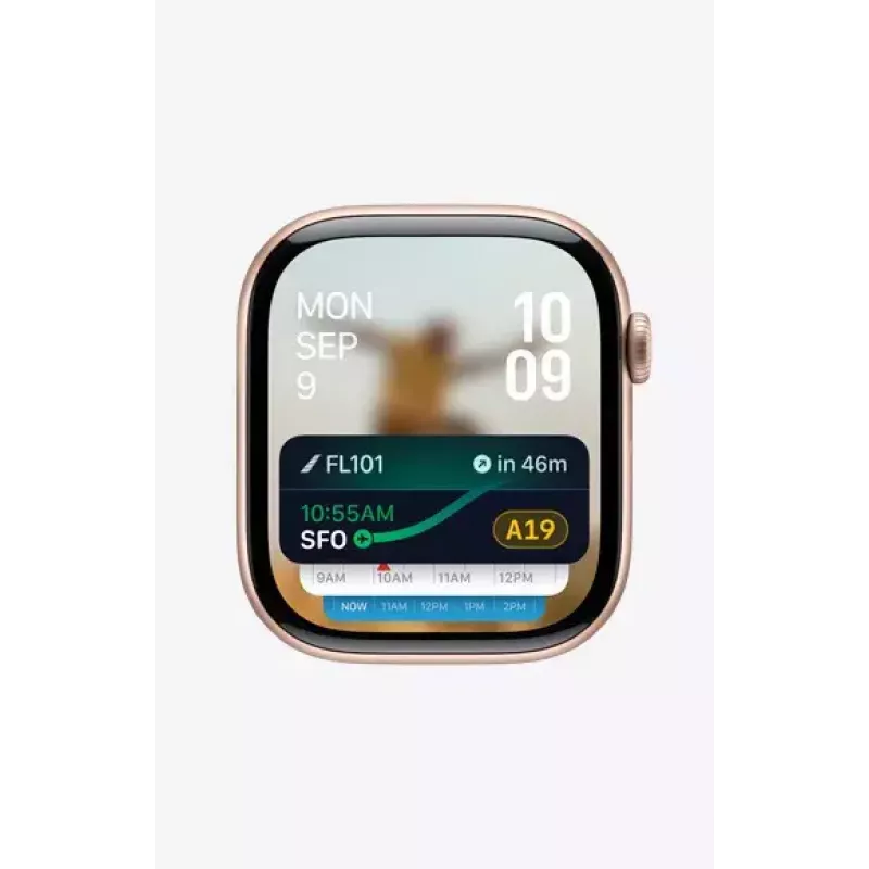 Smartwatch Apple Watch Series 10 GPS + Cellular 42mm Slate Titanium Melns