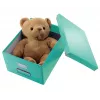 Uzglabāšanas kaste Leitz Click & Store Medium Box