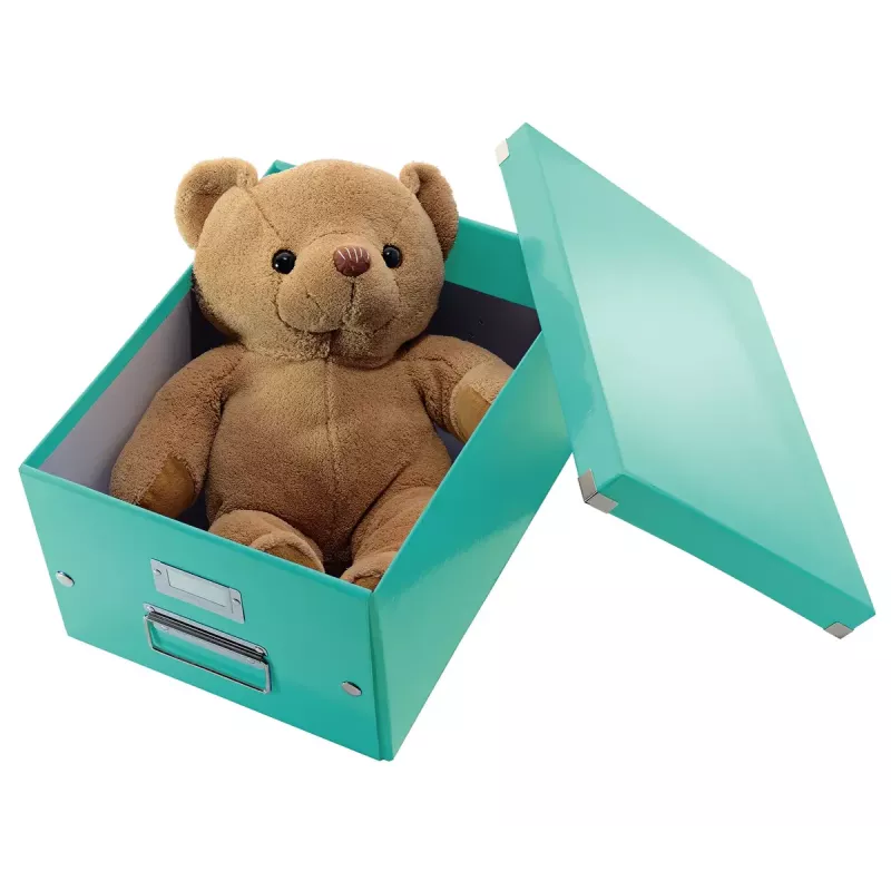Uzglabāšanas kaste Leitz Click & Store Medium Box
