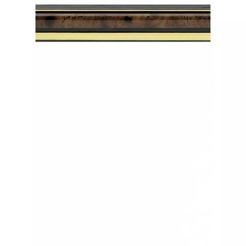 Viena attēla rāmis Walther JD040N