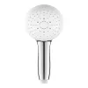 Dušas galva GROHE Tempesta 110 Chrome 28261003