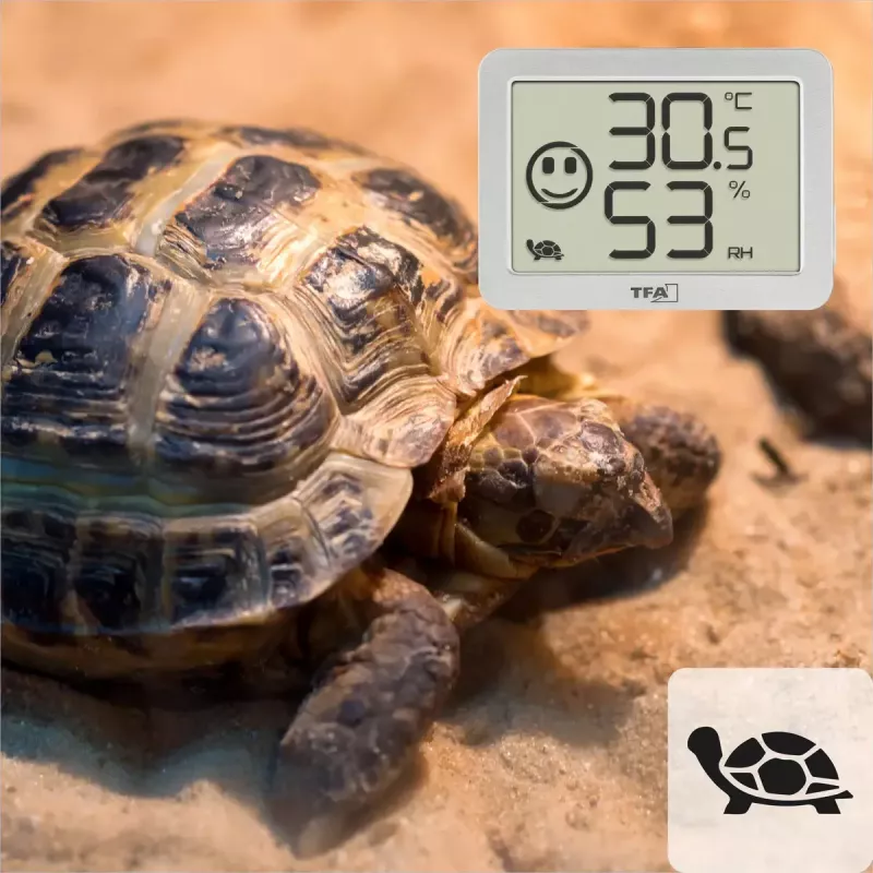 Telpu temperatūras un mitruma sensors TFA-Dostmann 30.5055.02 brīvi stāvošs bezvadu