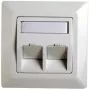 RJ45 adaptera rāmis Cat.5e Telegärtner H02010A0040 45° dubultā 80x80 mm Alpu balts