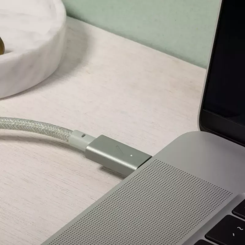 Native Union Belt Cable Pro USB-C uz USB-C kabelis, 2,4 m, LED displejs, Rose