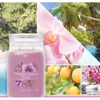 Vaska svece Yankee Candle Wild Orchid Augstums 157 mm Platums 93 mm