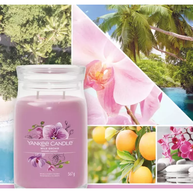 Vaska svece Yankee Candle Wild Orchid Augstums 157 mm Platums 93 mm