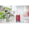 Vaska svece Yankee Candle 1724478E Ķiršu sarkans 149 mm 567 g