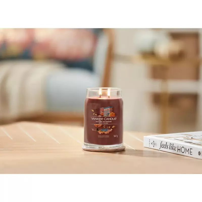Vaska svece Yankee Candle 1743378E Sarkana Augstums 157mm Diametrs 9.3cm 567g