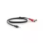 Audio kabelis Kramer Electronics C-A35M/2RAM-25 7,6 m 3,5 mm 2 x RCA melns