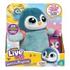 Interaktīva rotaļlieta Cobi Little Live Pets Walking Penguin Kiwaczek MO-26535, ar baterijām darbināms staigājošs mājdzīvnieks