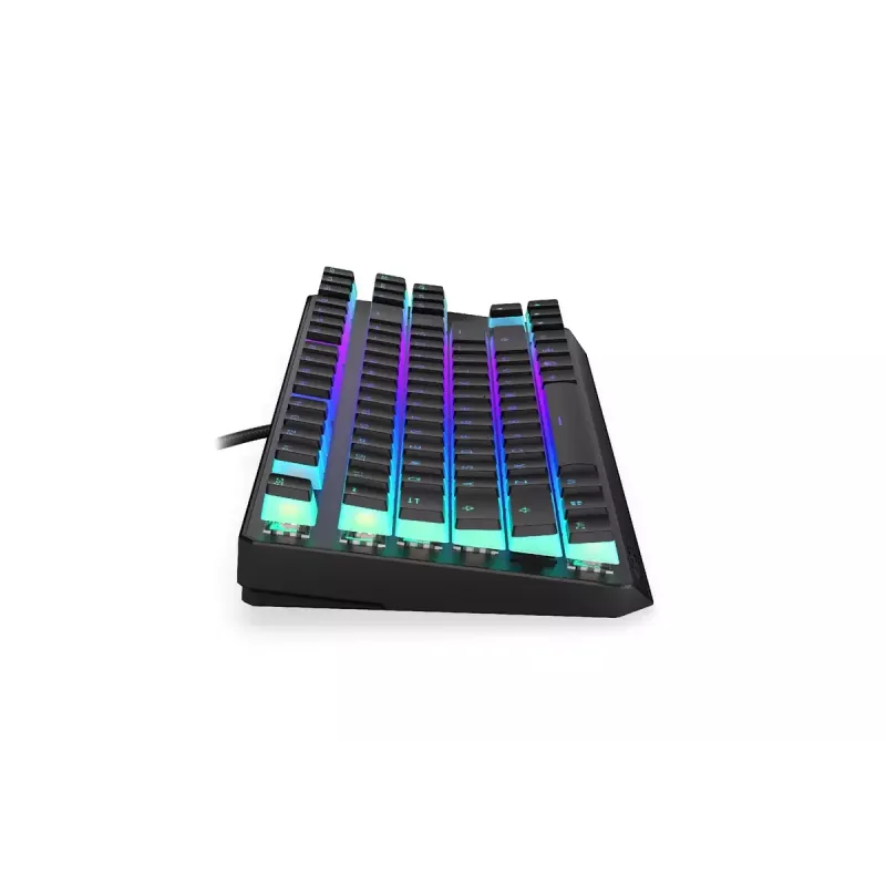Spēļu klaviatūra ENDORFY TKL USB mehāniskā 87 taustiņi RGB melna