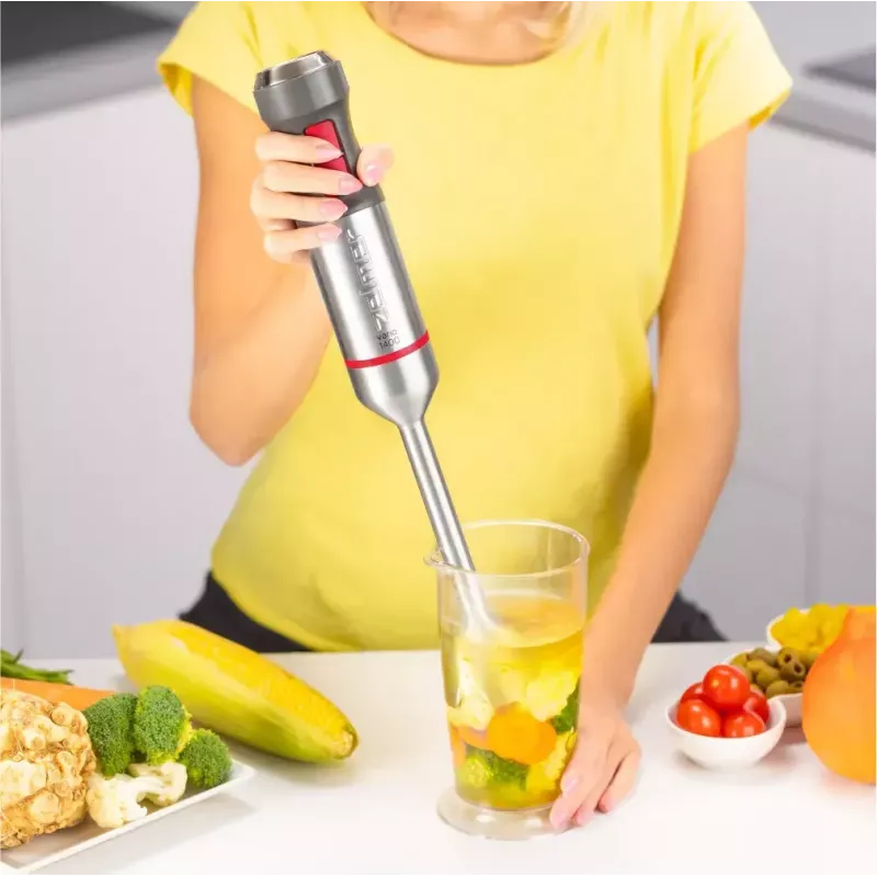 Iegremdējamais blenderis Zelmer ZHB4652 VARIO pelēka Silver