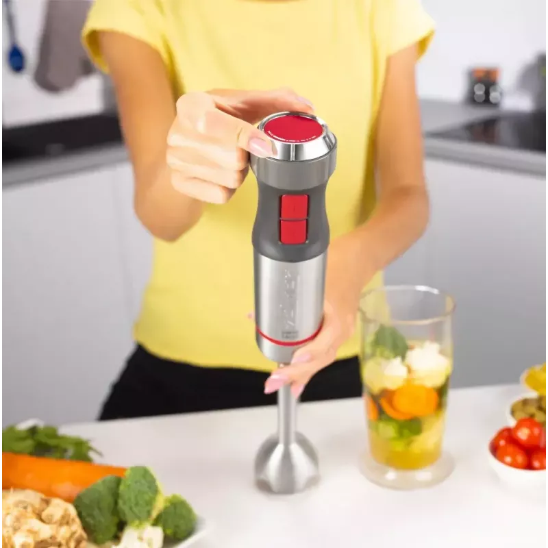Iegremdējamais blenderis Zelmer ZHB4652 VARIO pelēka Silver