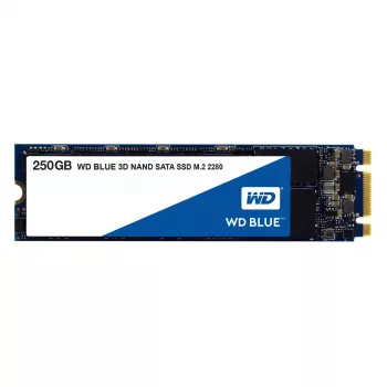 SSD disks Western Digital 250 GB M.2 6 Gbit/s WDS250G2B0B