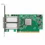 Tīkla karte Mellanox Technologies MCX556A-ECAT