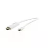 Video kabeļa adapteris Kramer Electronics C-USBC/HM10 3m USB Type-C HDMI balts